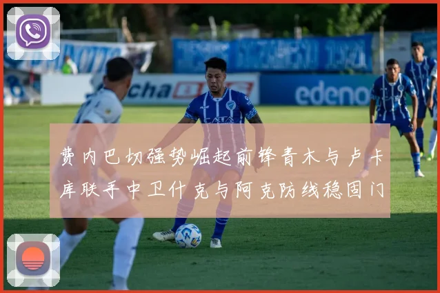 费内巴切强势崛起前锋青木与卢卡库联手中卫什克与阿克防线稳固门将埃德松实力不容小觑