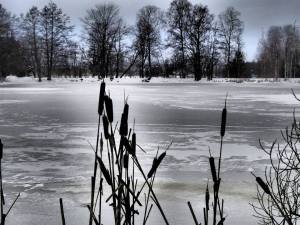 75906_713548575336152_1072662103_n