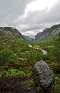 942235_382831238504391_1874009649_n