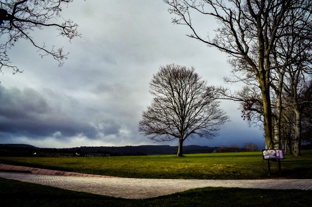 Foto 15-3-17 10 41 22