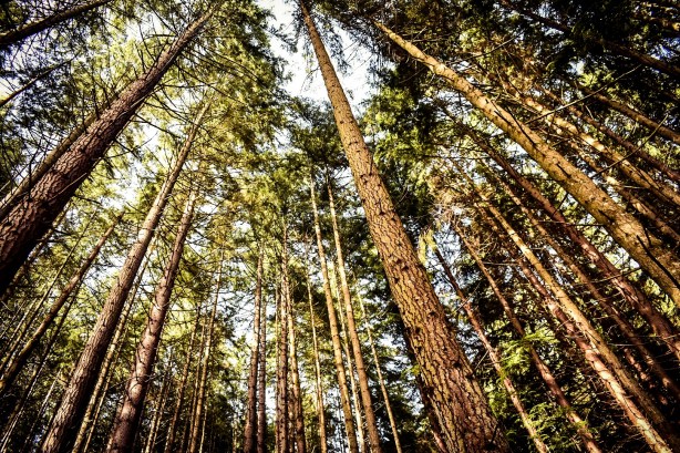 Foto 16-3-17 12 34 26