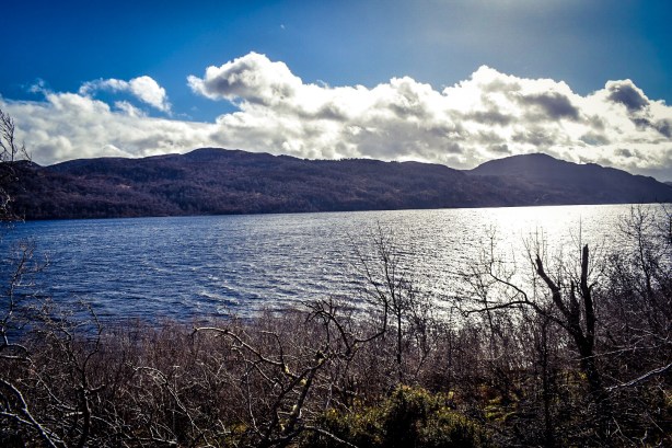 Foto 16-3-17 13 01 22