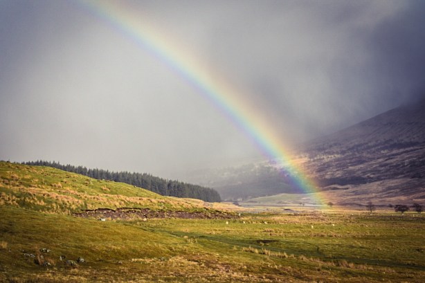 Foto 16-3-17 15 07 44