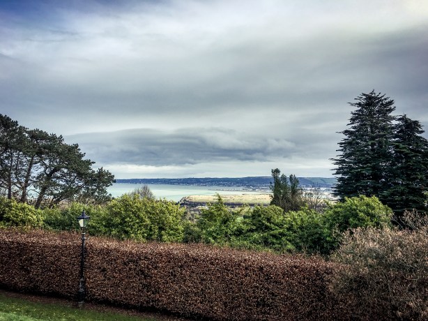 Foto 18-3-17 13 08 09