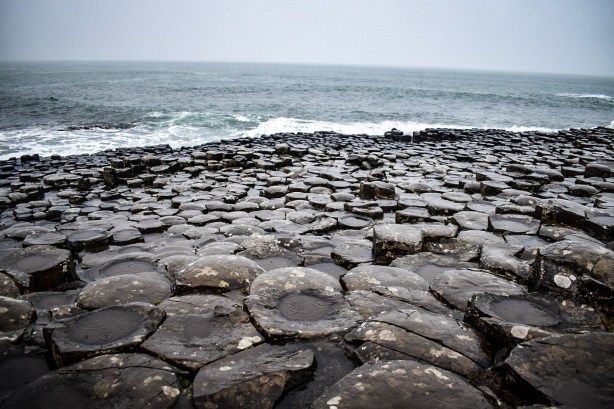 Foto 18-3-17 17 56 42