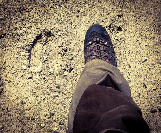 Foto 19-5-18 12 08 36