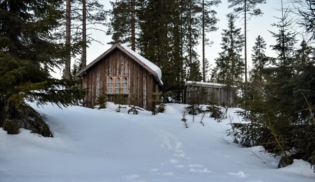 Foto 28-3-18 6 16 50