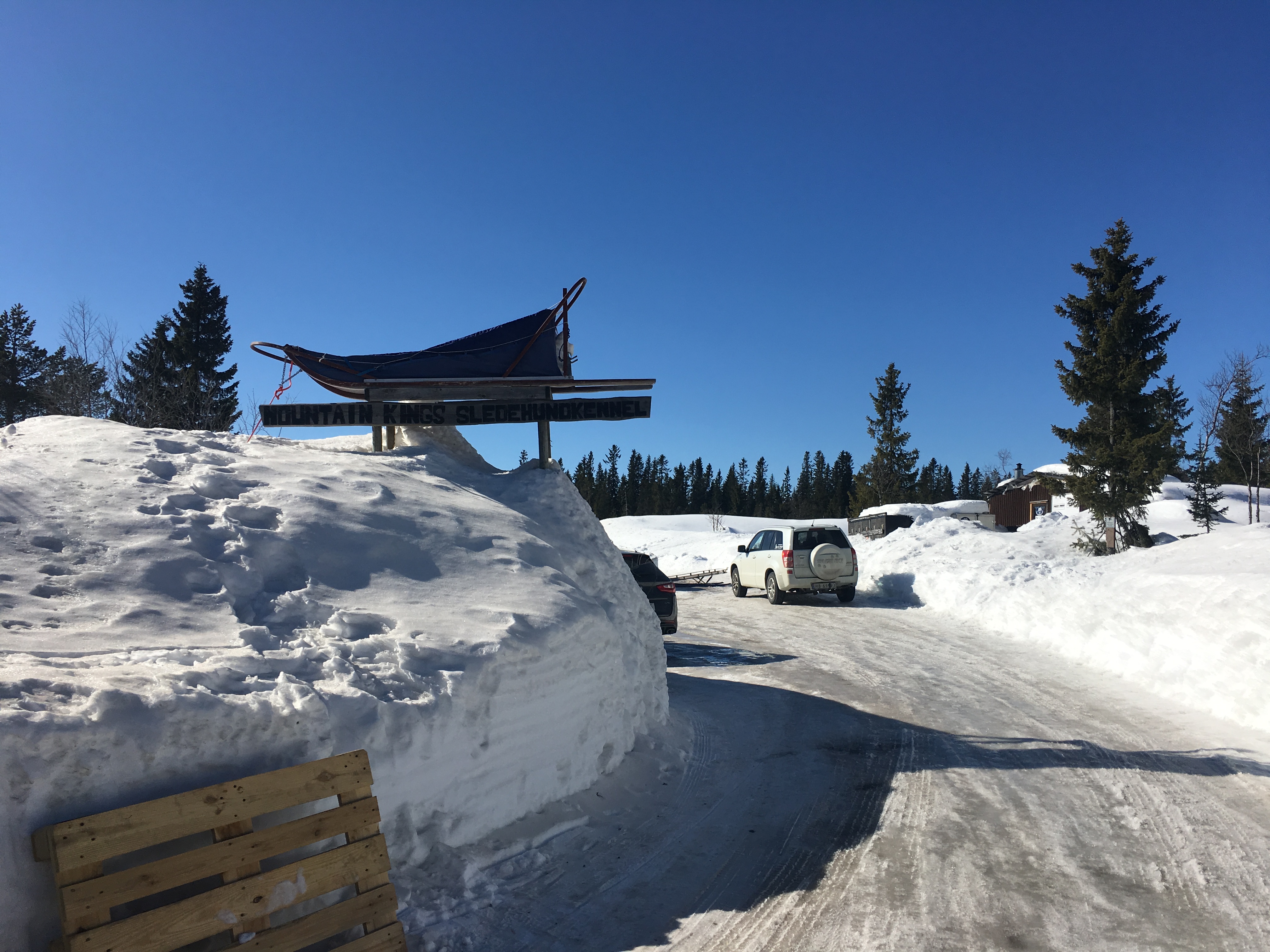 Foto 31-3-18 14 28 35